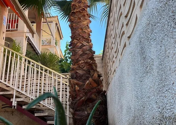 Апартаменты Palm Beach *